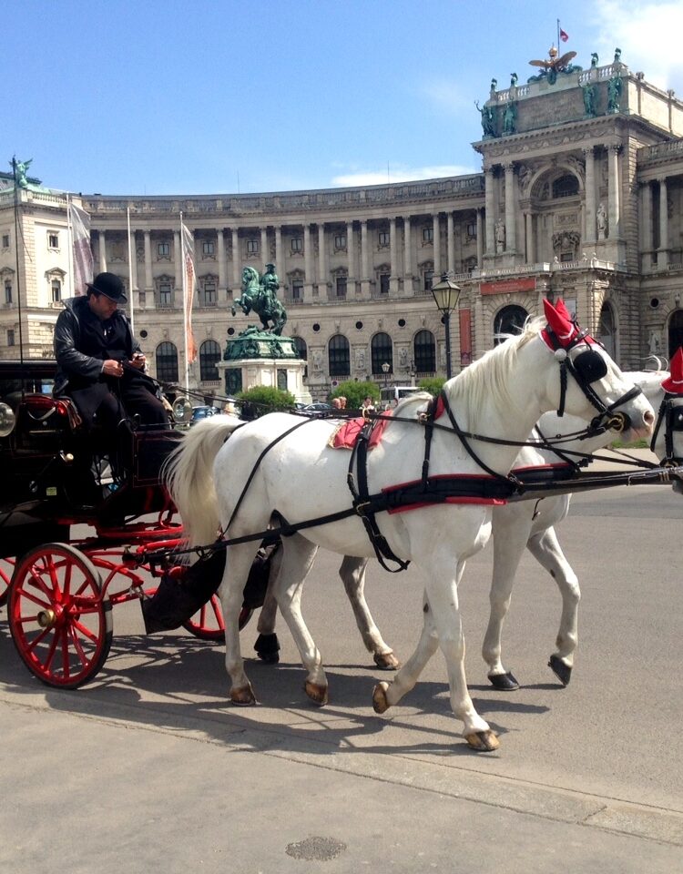 Wien: 8 Highlights einer kaiserlichen Stadt