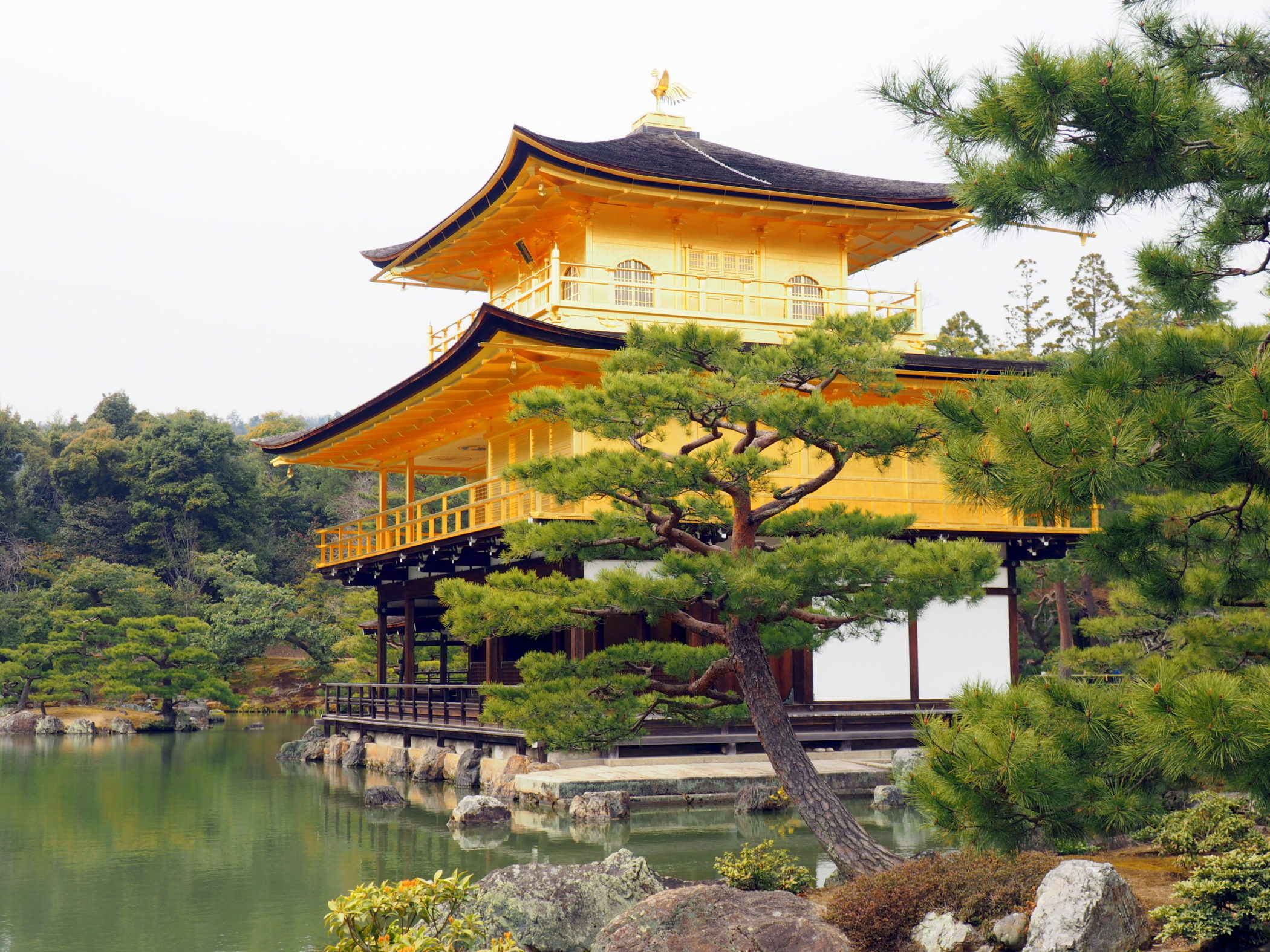 Japan-Kyoto-Goldener-Tempel