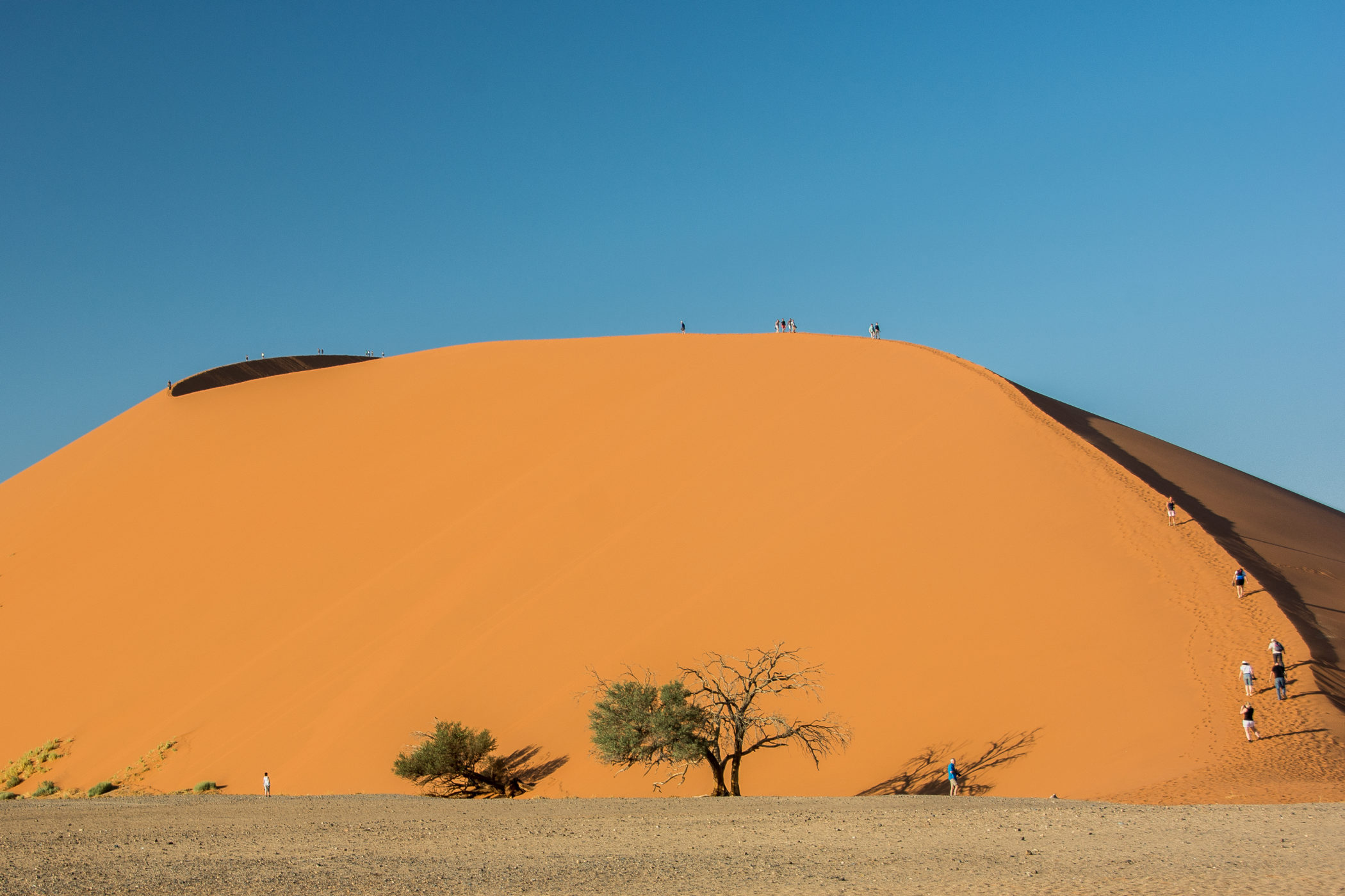 Afrika-Namibia-Wüste-entdecken-Dünen