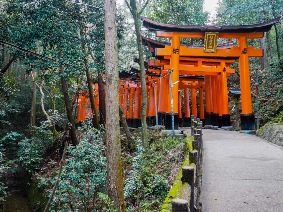 Japan-Kyoto-Fushimi-Inari-Tori-Gates