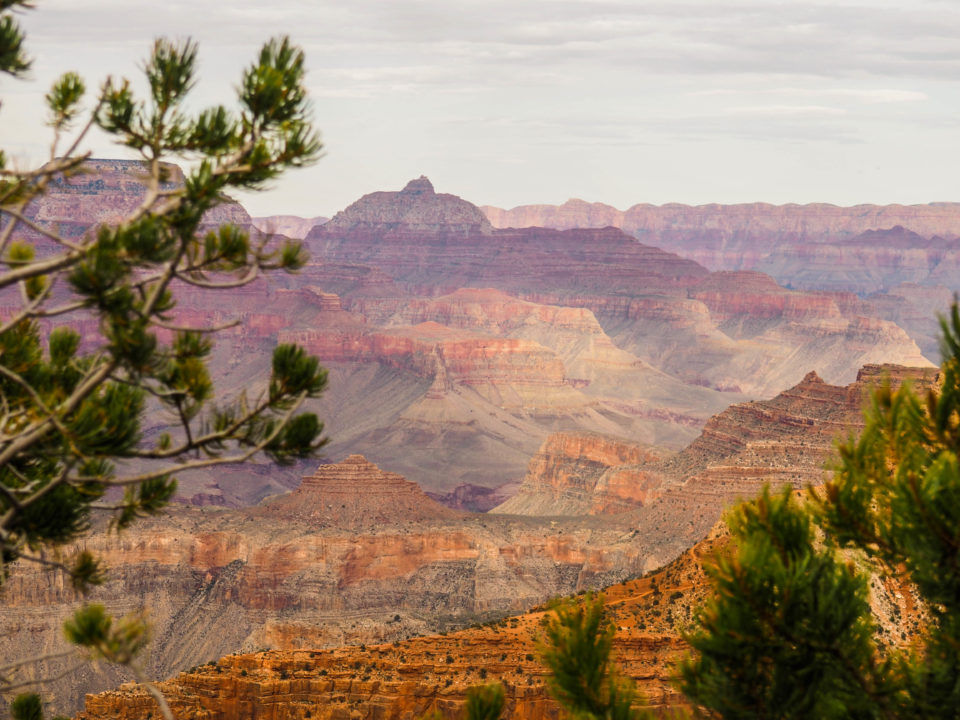 Grand-Canyon-USA-south-rim