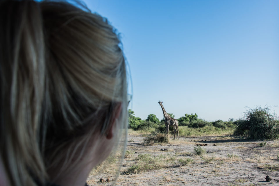 Afrika-Botswana-Giraffe-Vanessa