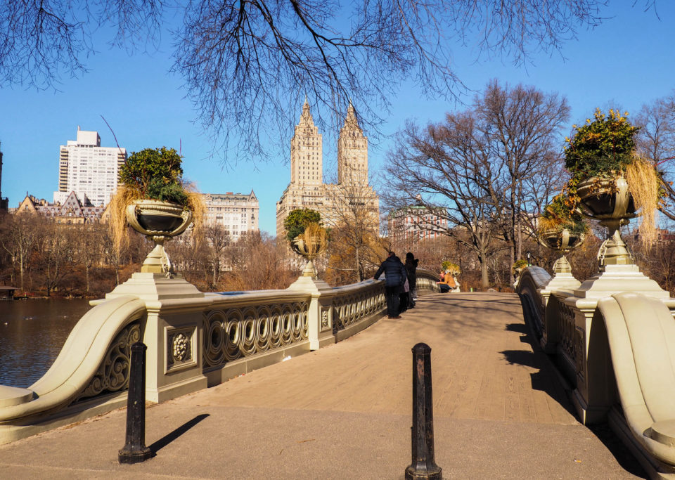new-york-Central Park-Bow Bridge