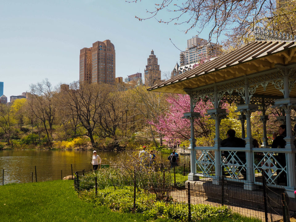 New-York-Central Park-Lady Pavilion