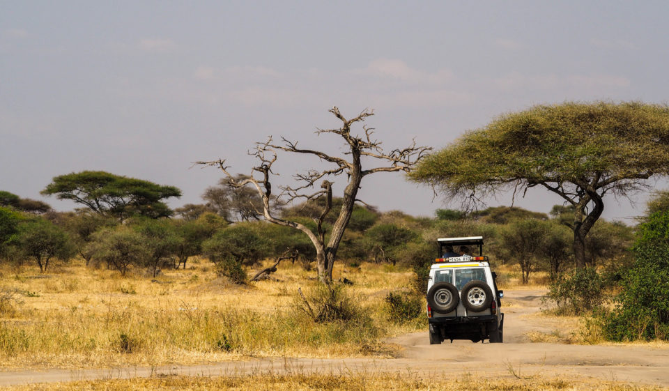 Tarangire-Nationalpark-Tansania-Jeep