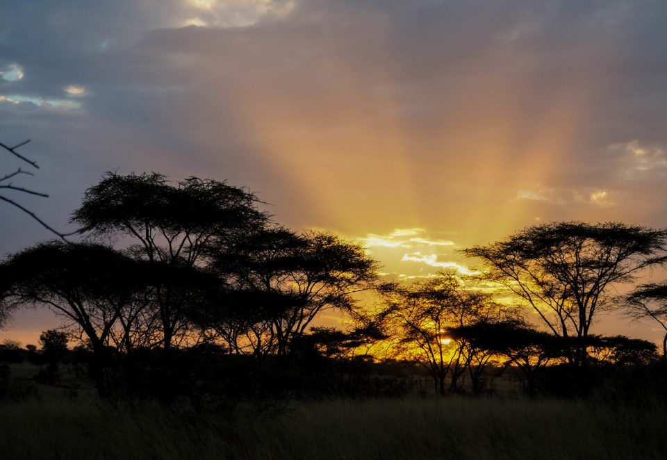 Tansania-Serengeti-Safari-sonnenaufgang