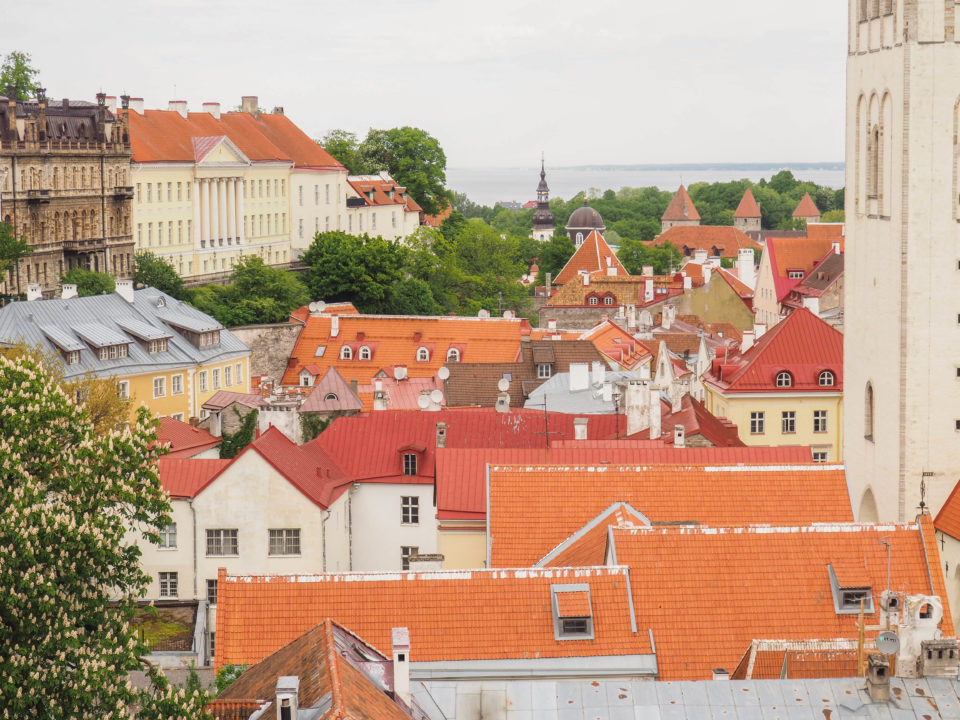 Estland-Tallinn-Altstadt