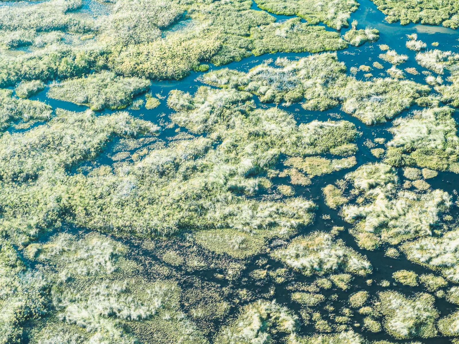 Botswana-Okavango Delta
