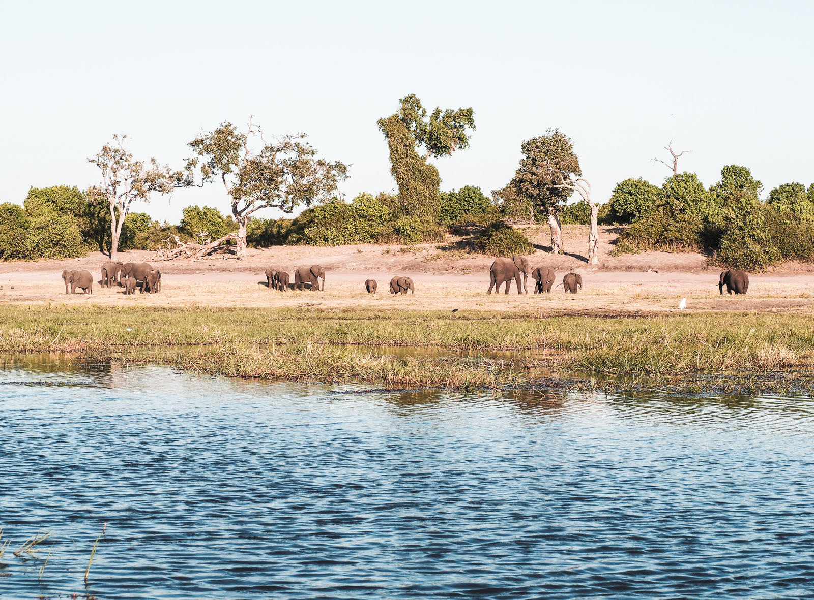 Botswana, Chobe Nationalpark