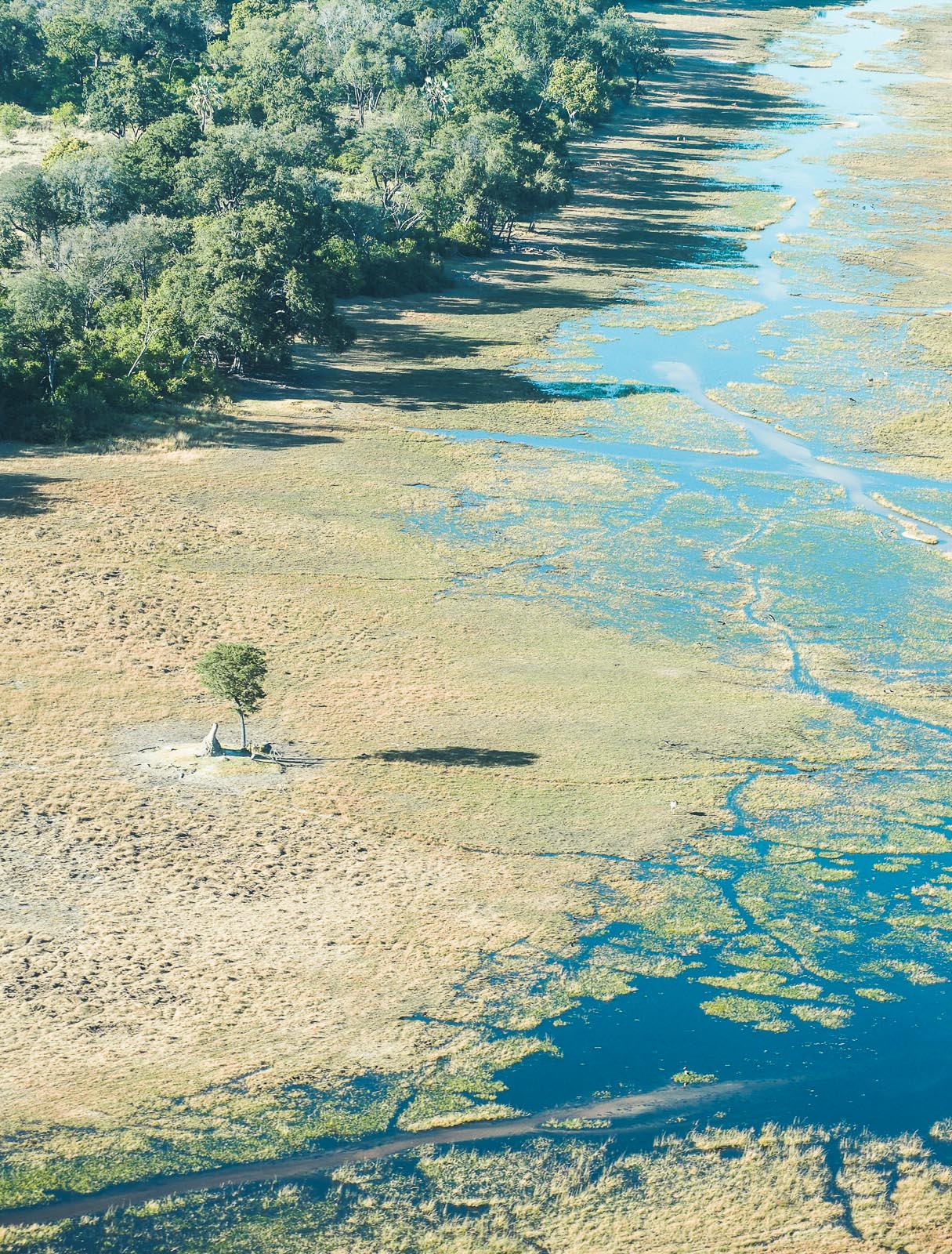 Botswana Rundflug Okavango Delta