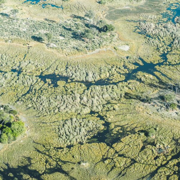 Botswana Rundflug Okavango Delta
