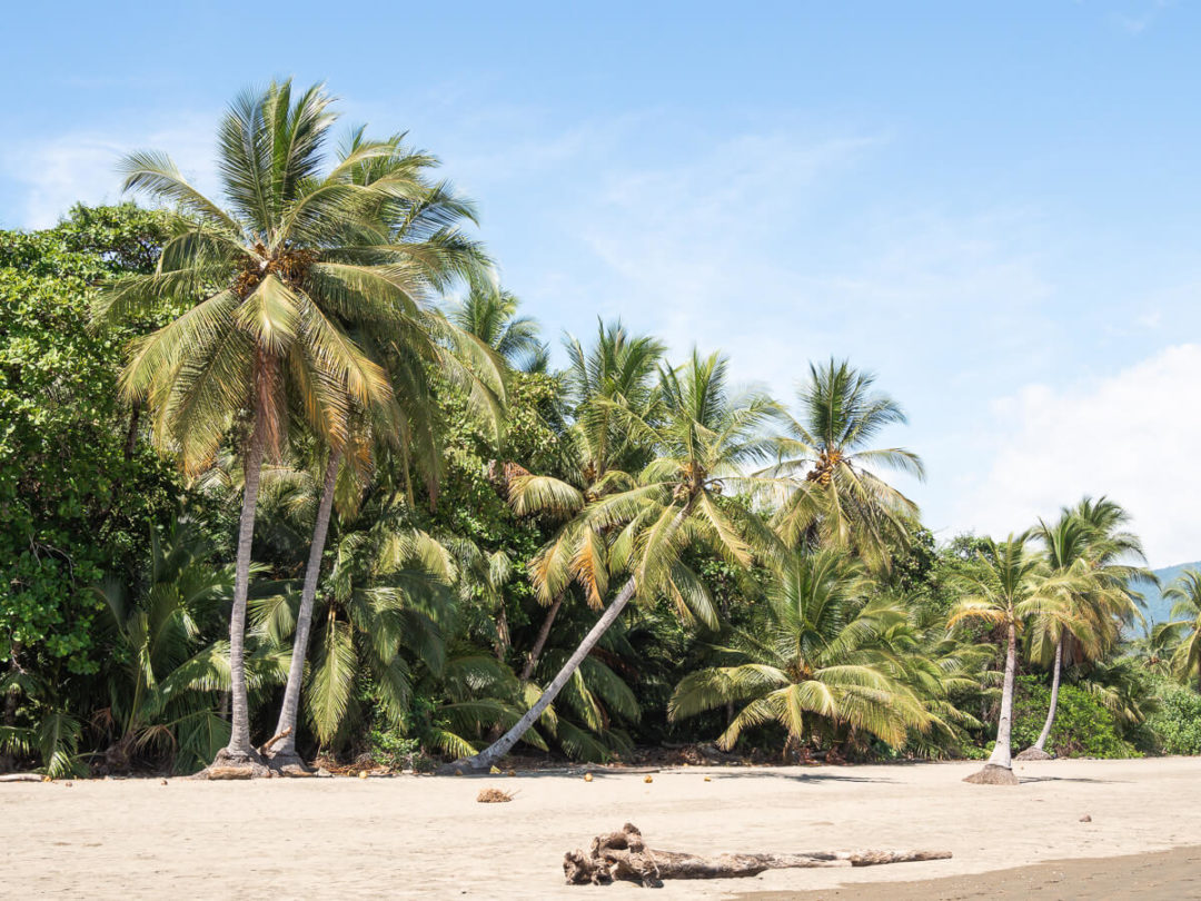 Costa Rica Tipps - 12 Dinge, die man wissen sollte | the travelogue
