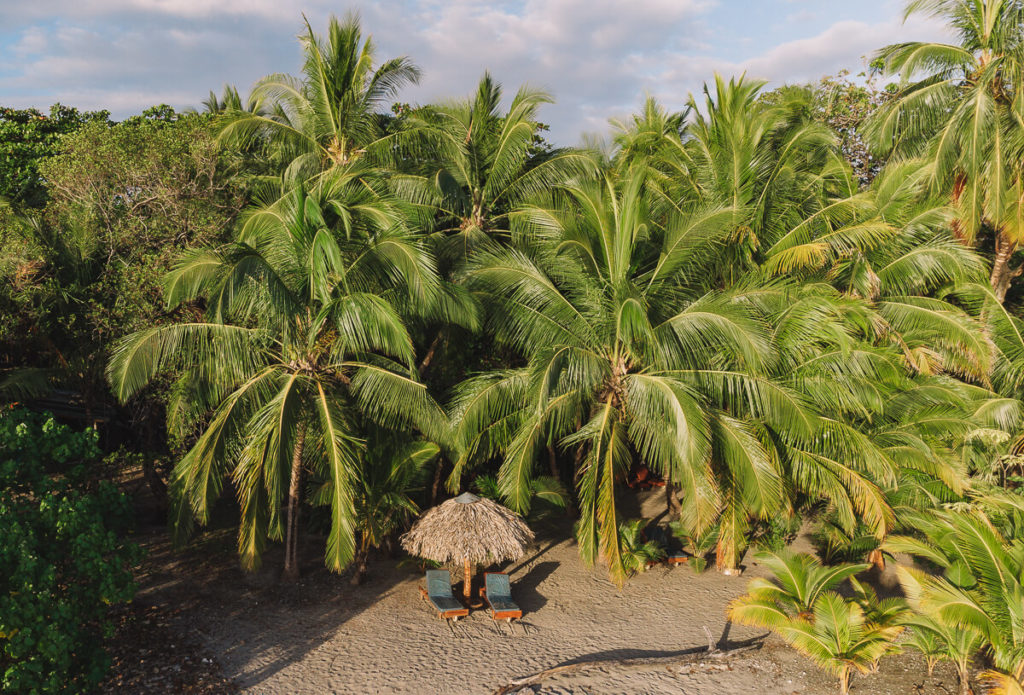 Sámara in Costa Rica Strand, Sonne & Surfing the travelogue