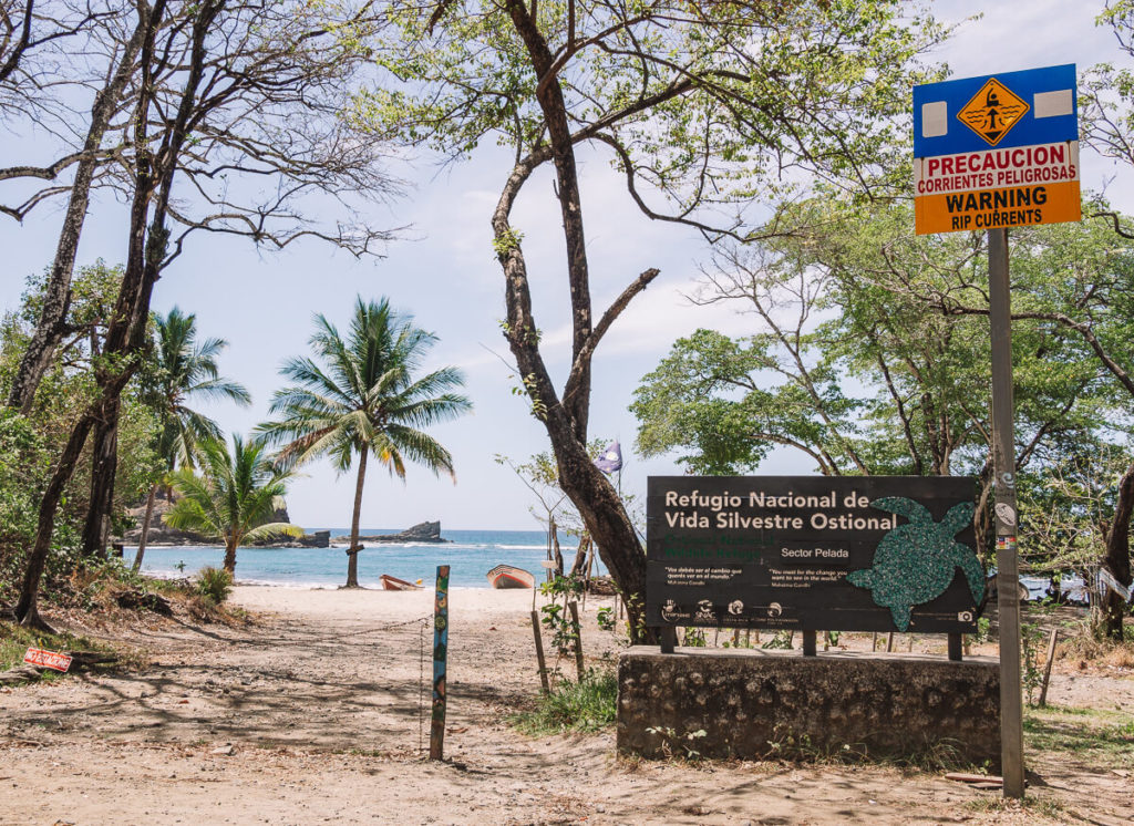 Sámara in Costa Rica Strand, Sonne & Surfing the travelogue