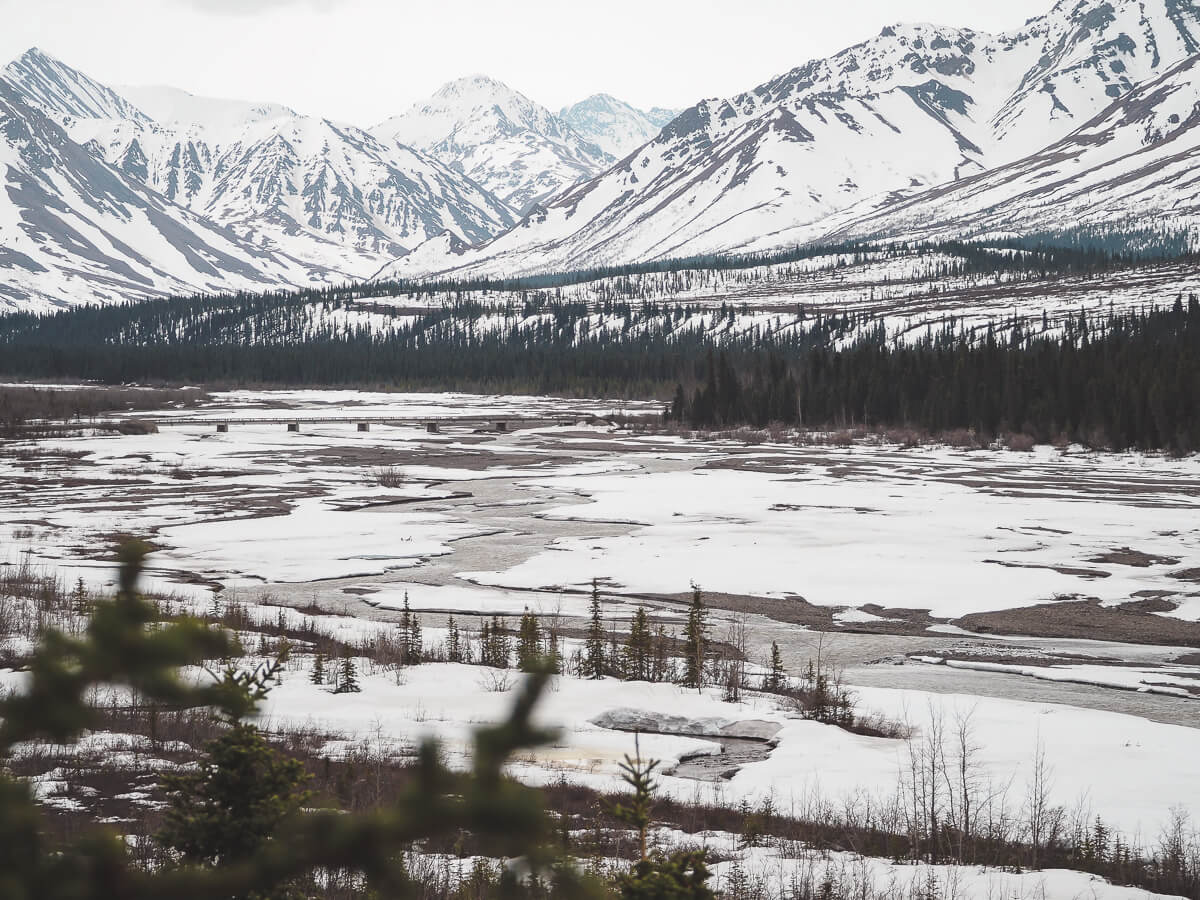 Denali Nationalpark in Alaska