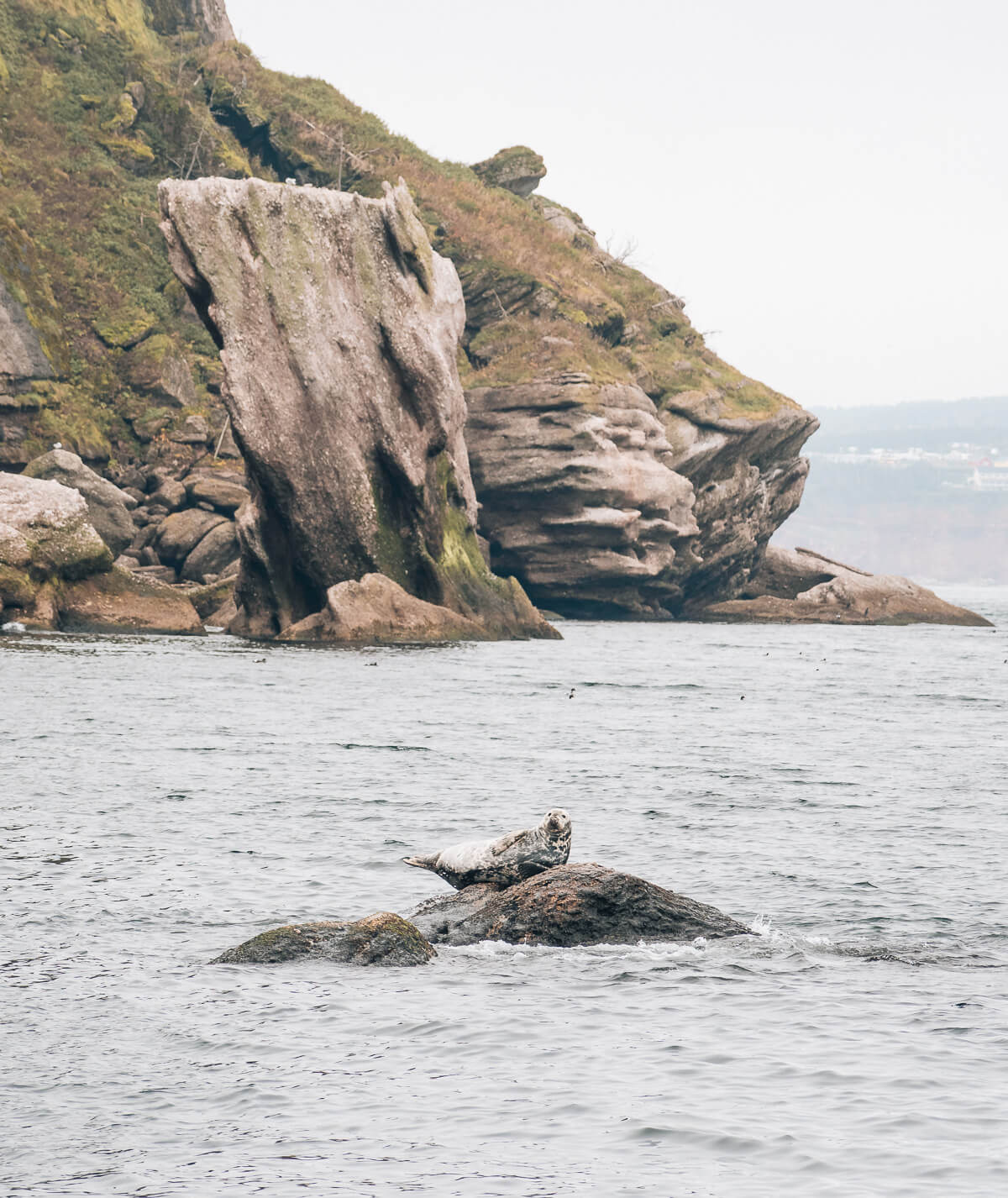 Gaspesie Halbinsel