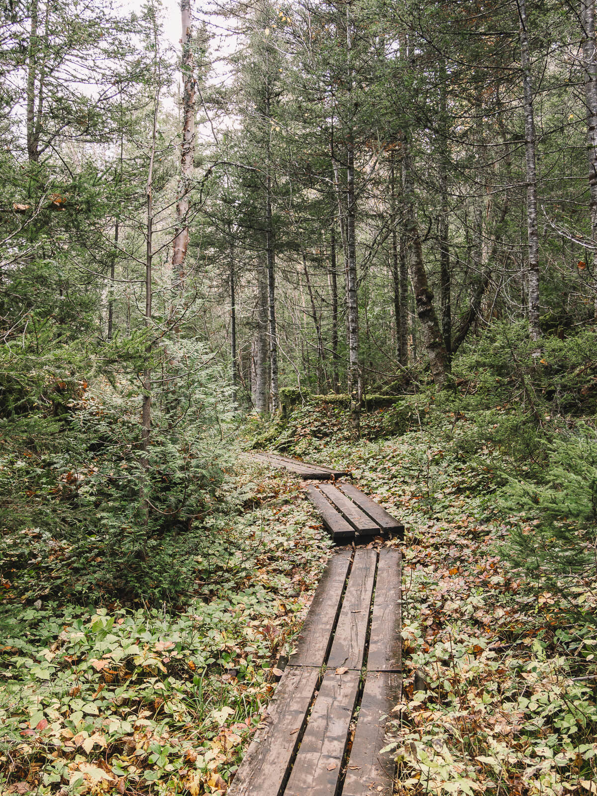 Matane, Gaspesie