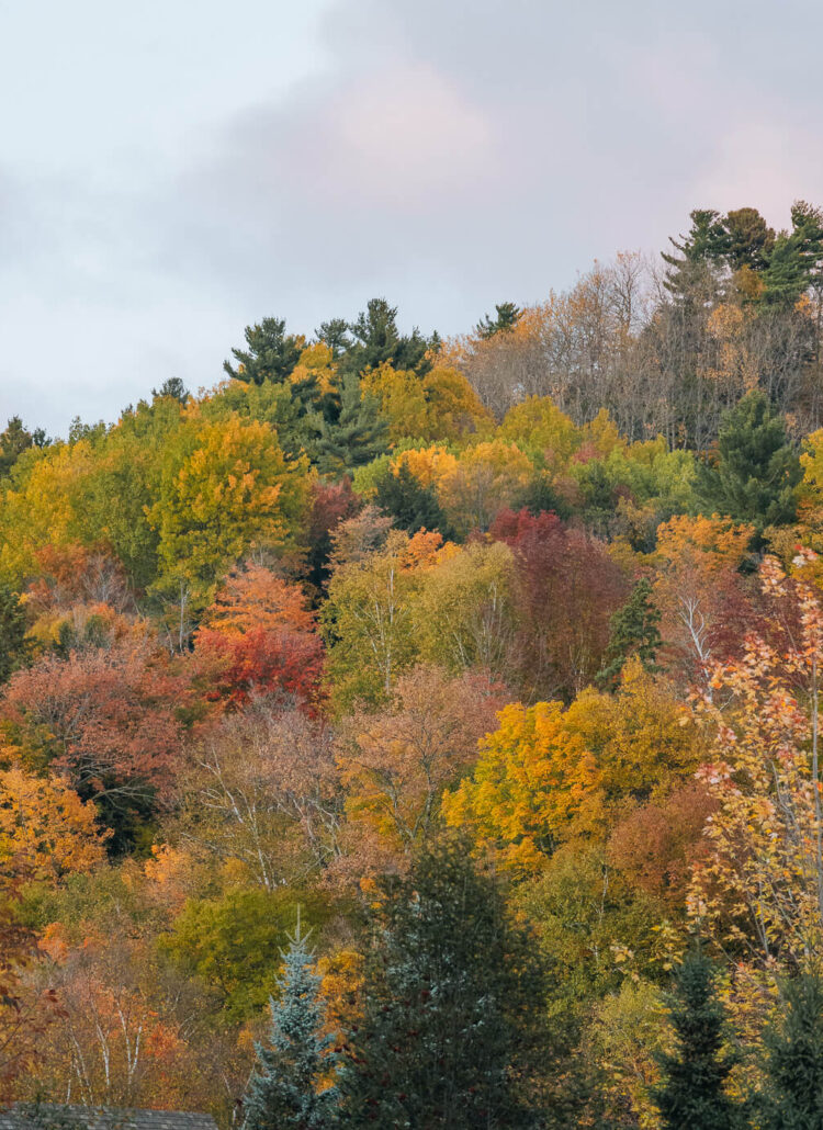 Indian Summer in Kanada erleben – Die schönsten Orte im Herbst