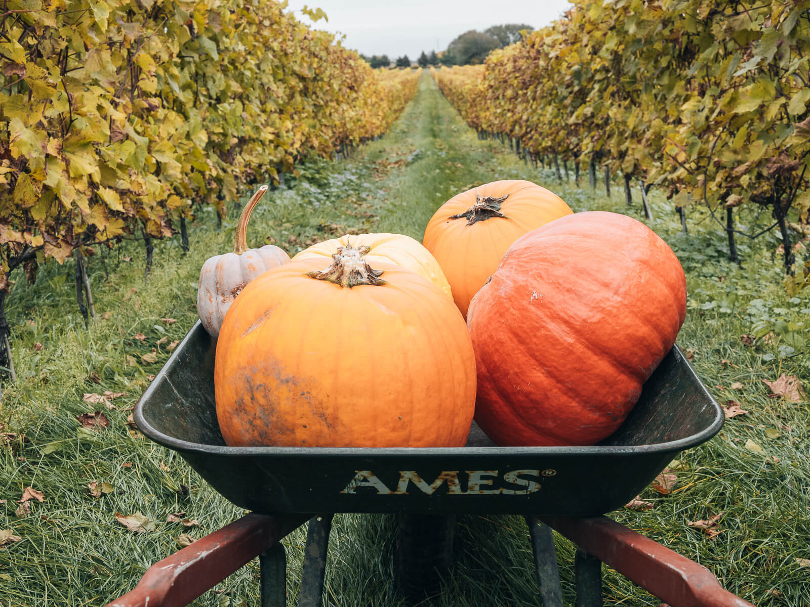 Kanada im Herbst