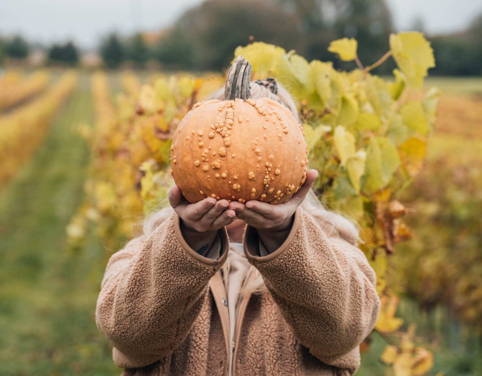 Kanada im Herbst