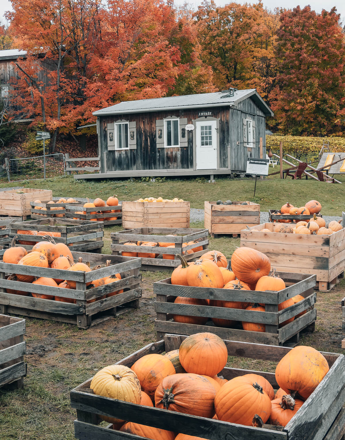 Kanada im Herbst