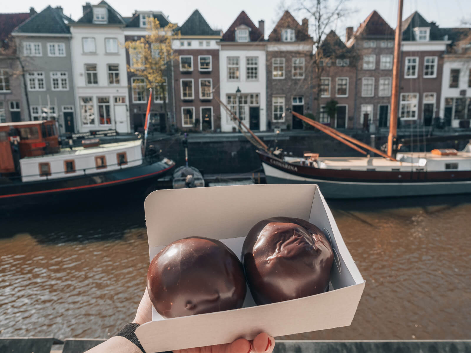 Bossche Bollen in s-Hertogenbosch Holland